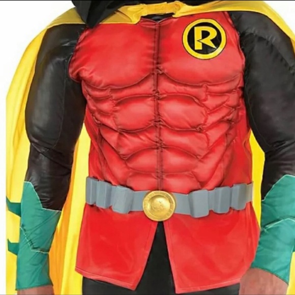 Robin Costume - Picture 3 of 4